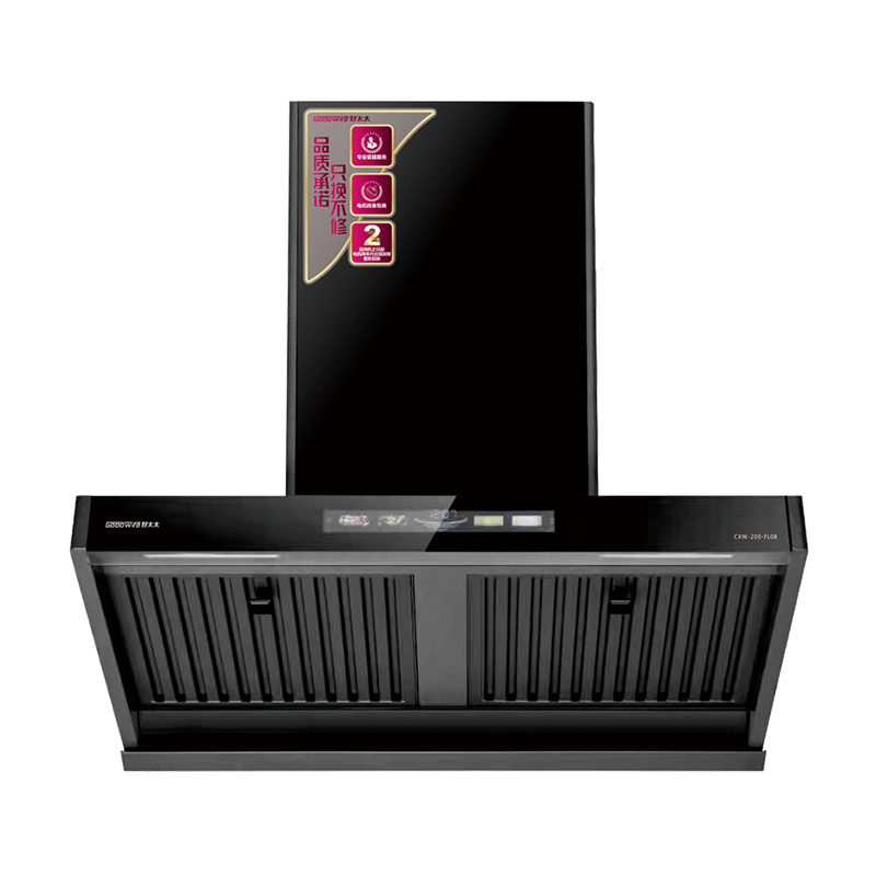 CXW-200-FL08油煙分離